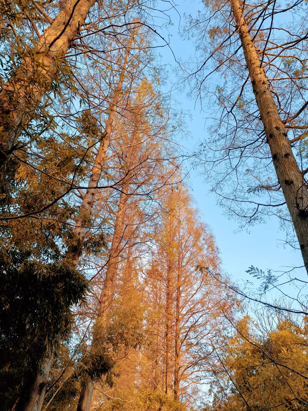 40e1d367c697b7868ff2cf3347477c40-sz_3868862-1