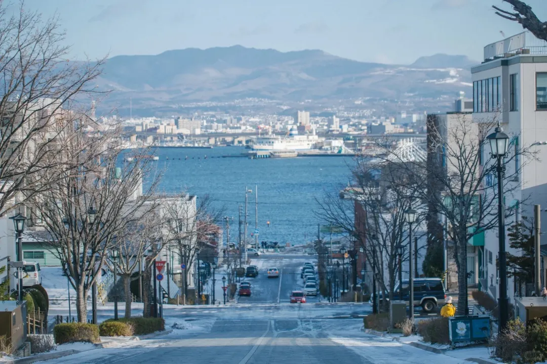 4195dd84fb4c4dc757e9efc624bc6a58-sz_537196