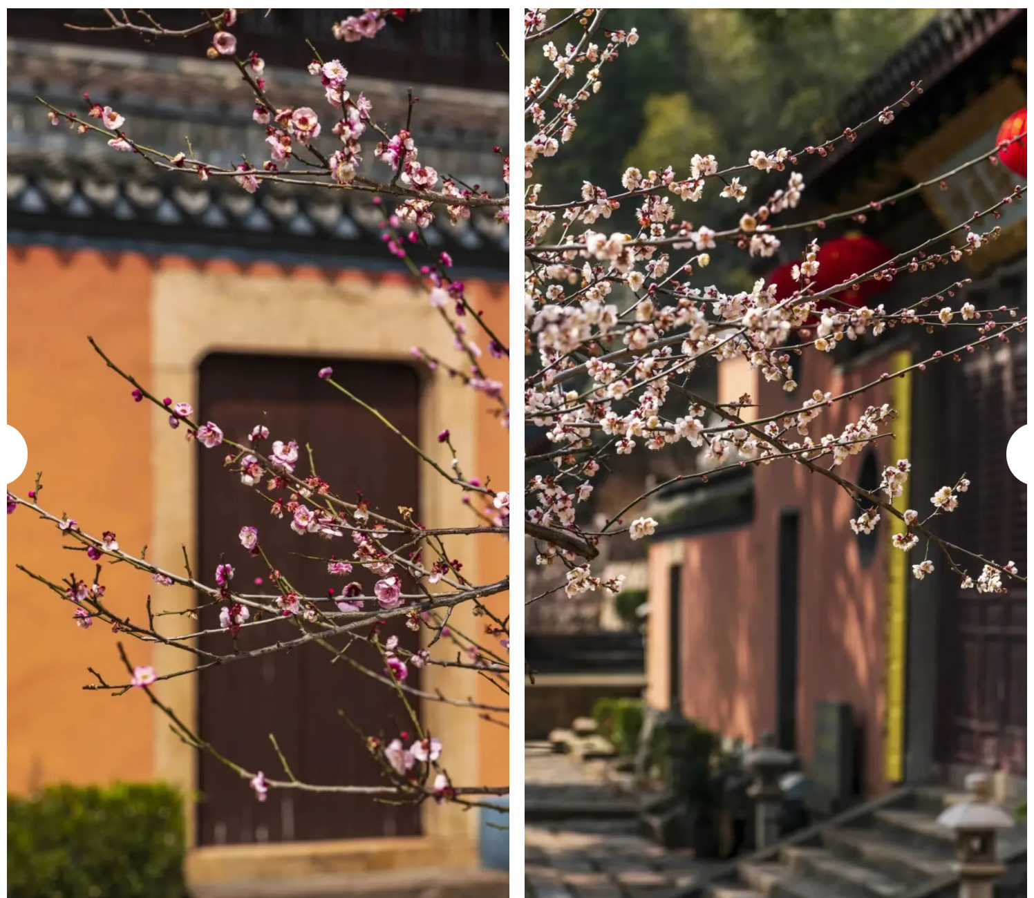 41dcbbf3cee469a773e2495abe59d02d