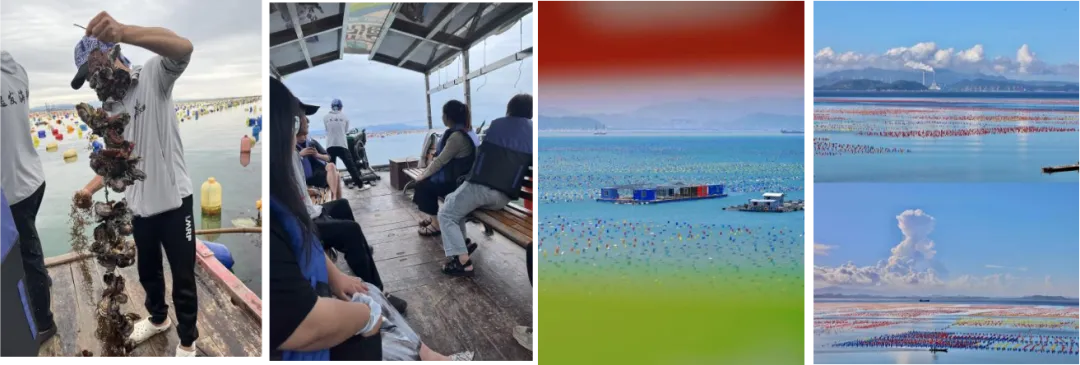 423ce6c22e52e27f7b5453e7e835a641-sz_842489