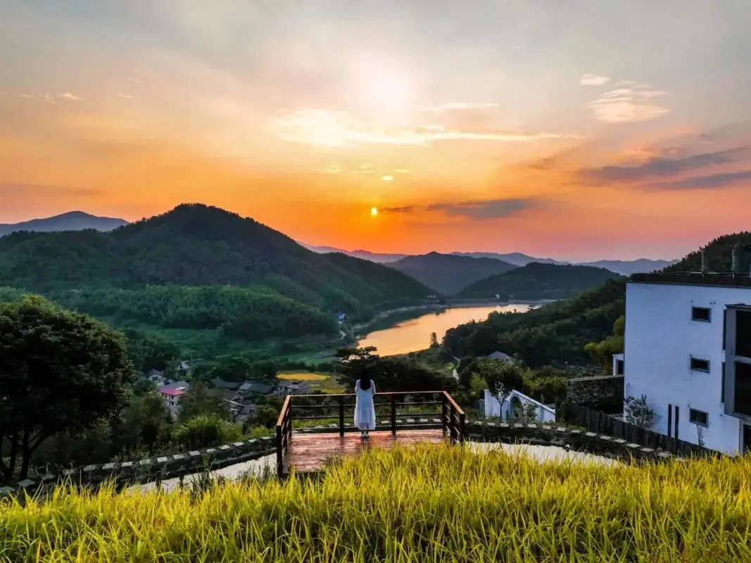 4240560c41c2b671e65a9bd118b89738-sz_113403-1