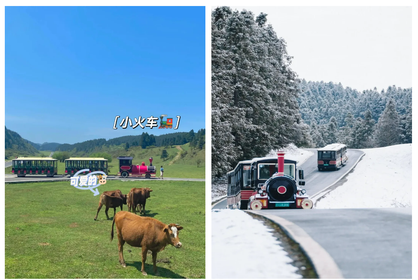 4247a0995d3a7f0e28bc01fd58030fee