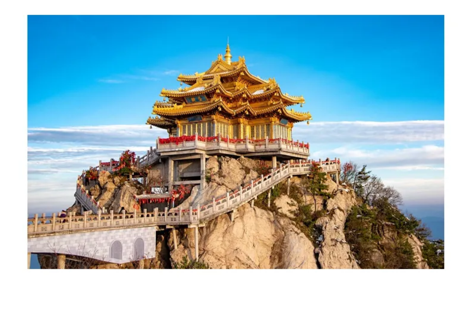 4289110fa34f40233d4d6e9cdd99999a