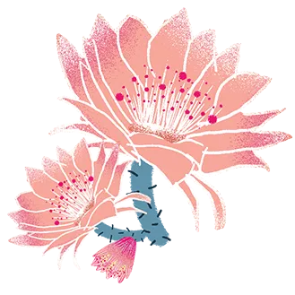 428f74bd559065990270453f4a4143fd_sz-145995-2