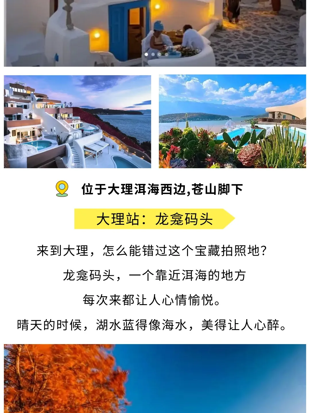 429d70d4dd6785e09be15d21c123411b-sz_295820