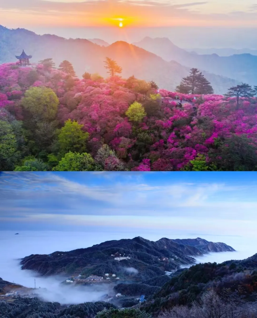 42a319179ed0a26bfe8e7ee9c7aafebc-sz_1005910