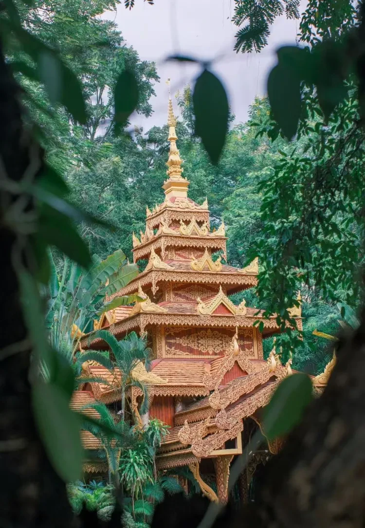 42bbb2d66026f0a7a4f97139432126d9-sz_4233814 42bbb2d66026f0a7a4f97139432126d9-sz_4233814