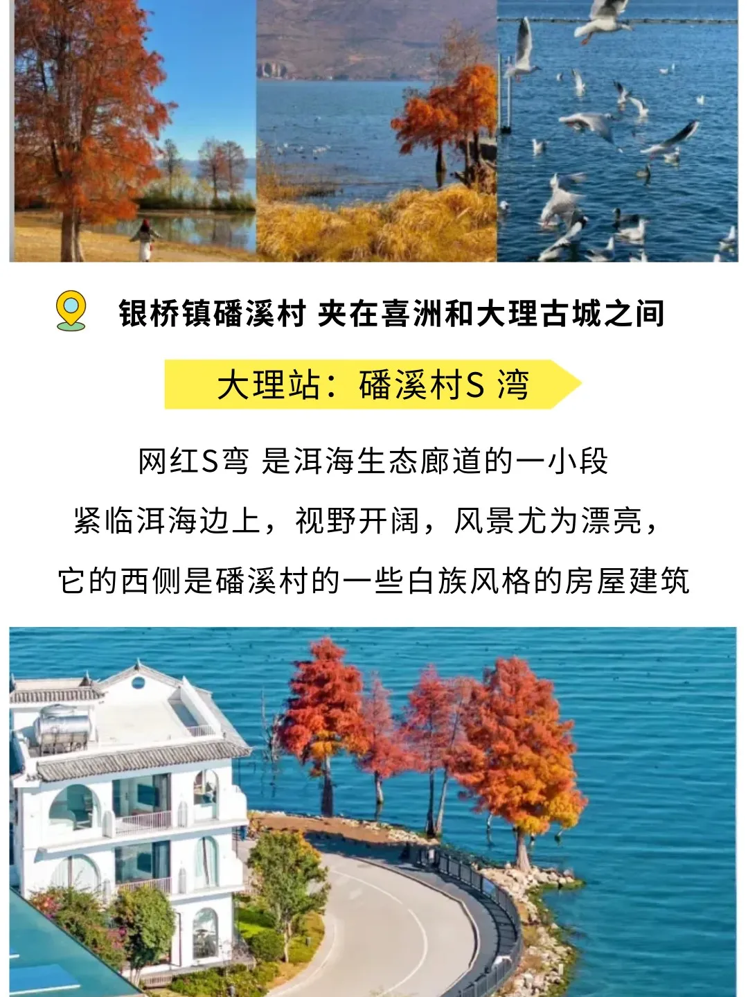 42c9f0a332be457132b137ec0110af9e-sz_329360