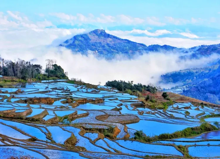 42e7479db55452a534e417a7ff594690-sz_1677656