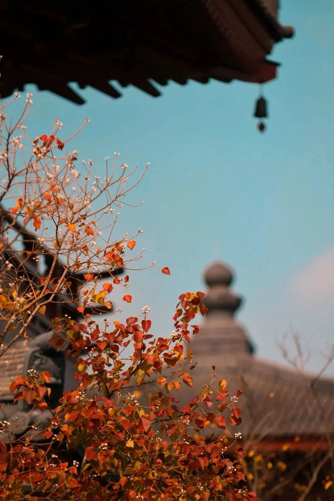 42f6d7eb3b8e4348eb7a435eac017e37-sz_1706590 42f6d7eb3b8e4348eb7a435eac017e37-sz_1706590