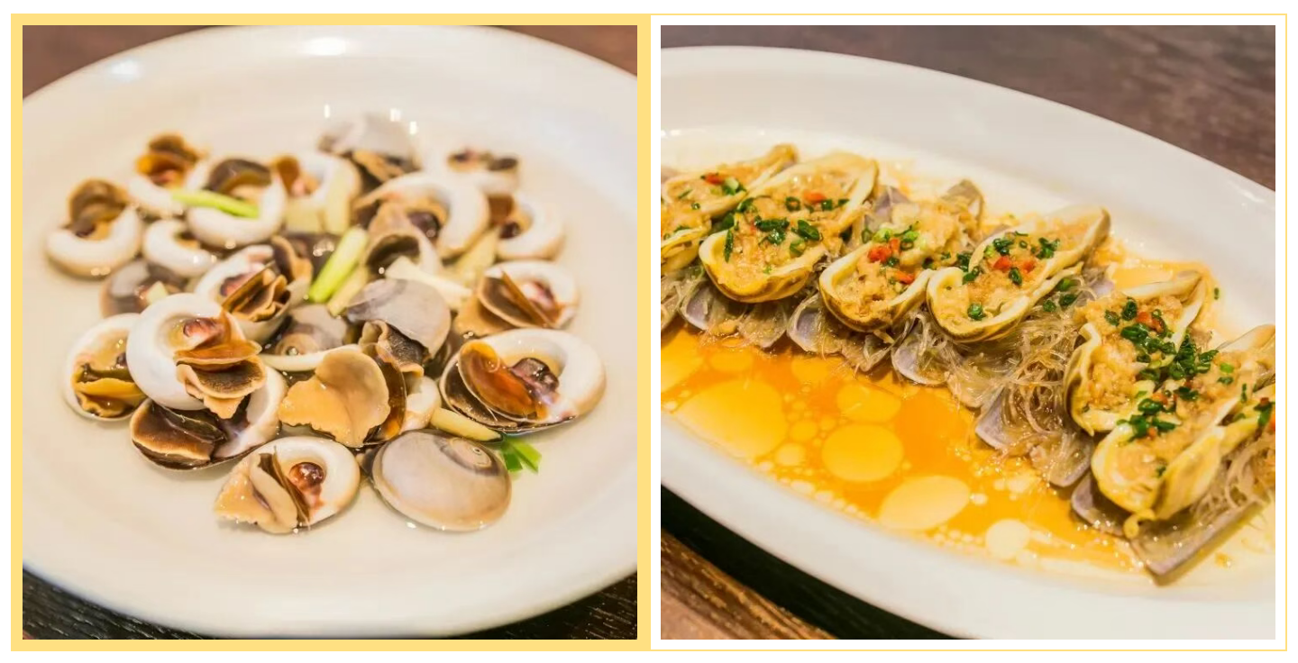 4362d50192a24c9e856ecdd32eb40fb8