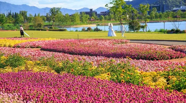 439febb8b5926ff9439228dcf49f91d2-sz_627029 439febb8b5926ff9439228dcf49f91d2-sz_627029