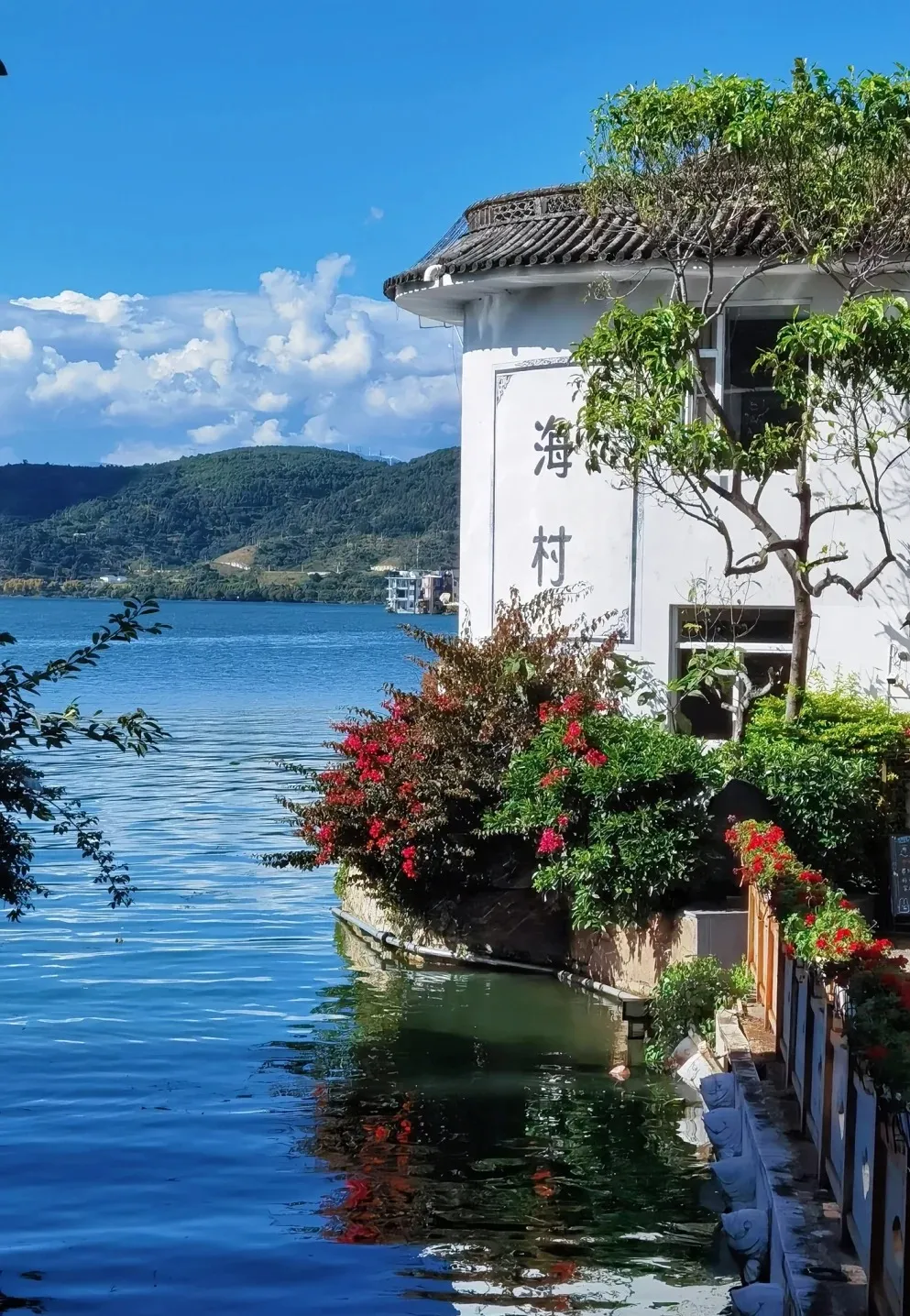 43a6b63682c637c71089eaf5b12d99a8-sz_3519519-2