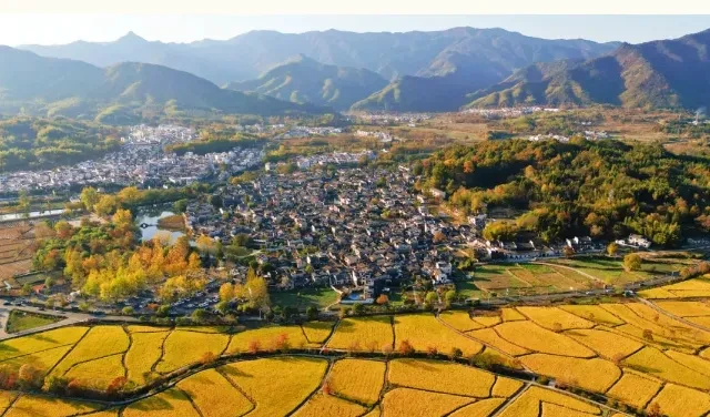 43ab3310c6347990fbc40a337359f3fc-sz_531179 43ab3310c6347990fbc40a337359f3fc-sz_531179