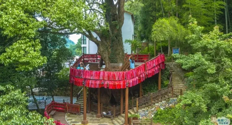 43adc5267217be3b1b6a11519b5d5666-sz_2091112 43adc5267217be3b1b6a11519b5d5666-sz_2091112