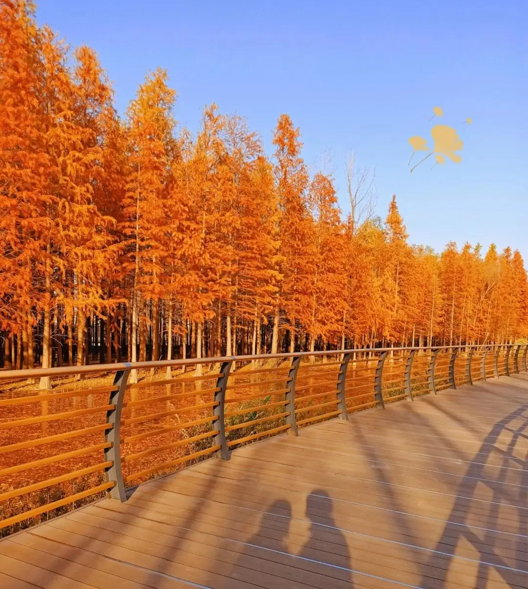 43b5bda4815ef8d355e2cd72eb730e33-sz_234896 43b5bda4815ef8d355e2cd72eb730e33-sz_234896