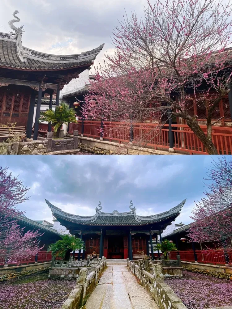 4412ce556c7d295fa7055369985f3733-sz_3498964