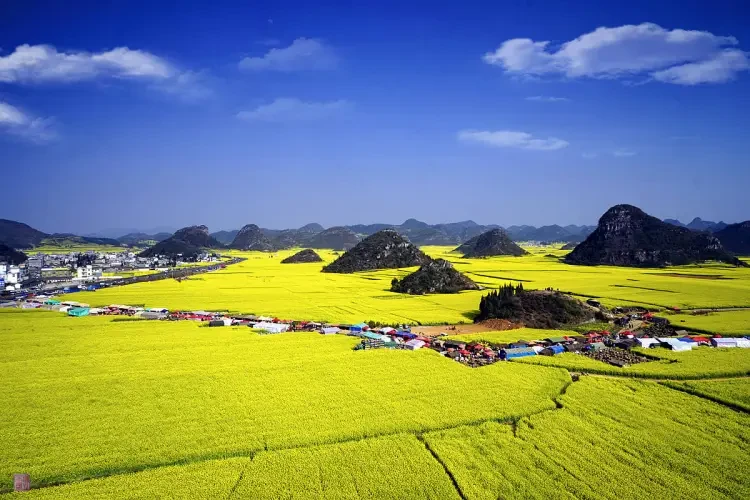 44458f4580e301d9b4063ad12fe0d171-sz_226739