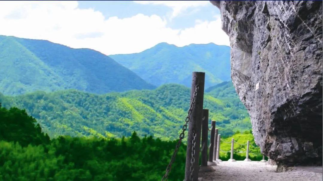 446a82c5ce2a4fd010f5fcff024b1fc7-sz_104017