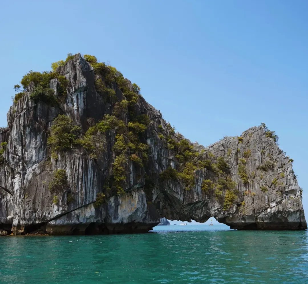 45170d3f6eae81e3c9d16dc4f7a250ef-sz_2241155 45170d3f6eae81e3c9d16dc4f7a250ef-sz_2241155