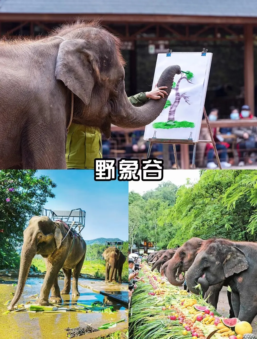 6人起发 【吉祥老挝】老挝+版纳双飞 9日★万象+万荣+琅勃拉邦+西双版纳品质9日游