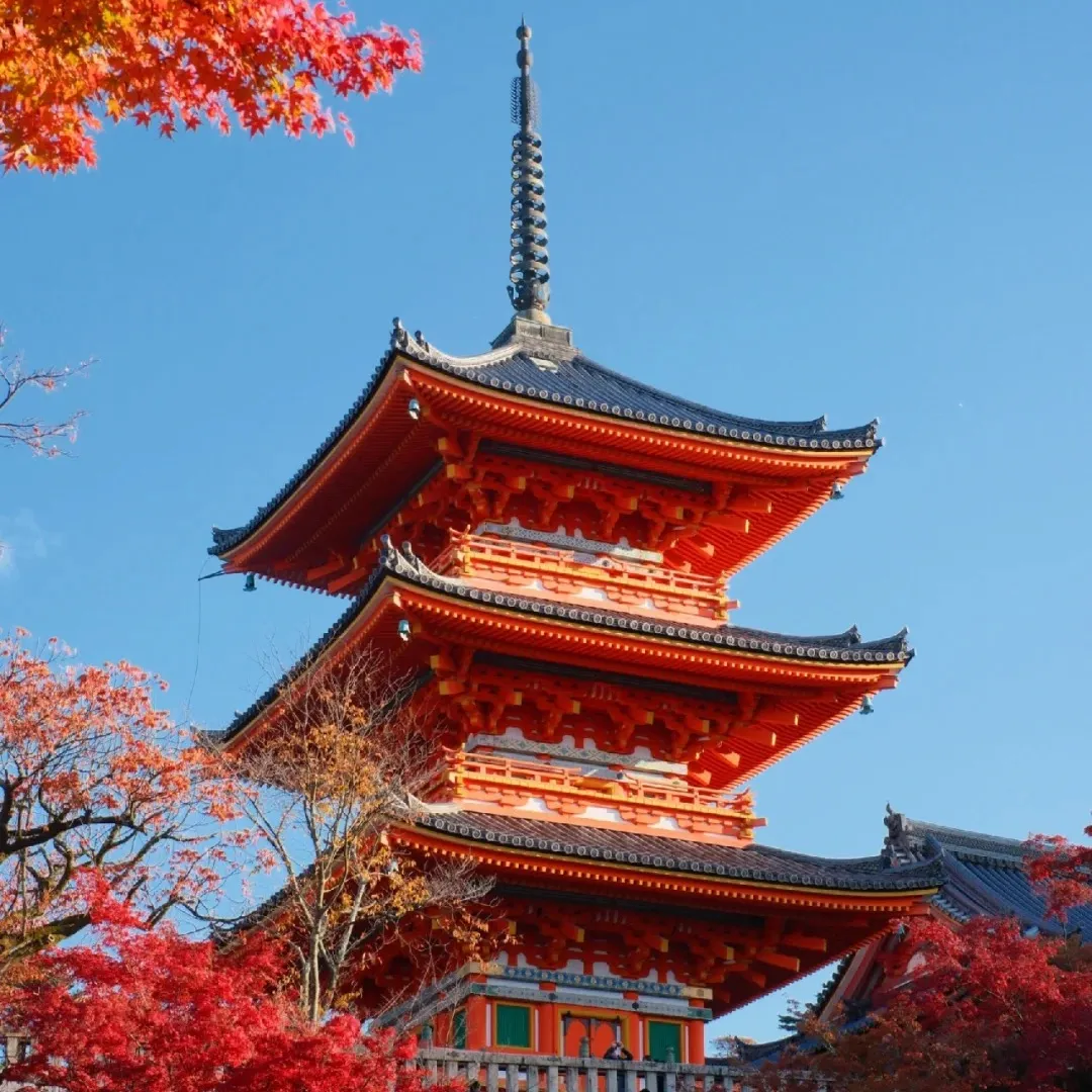 4569f5541ac7bcd31b205b3f7932914c-sz_458882 4569f5541ac7bcd31b205b3f7932914c-sz_458882