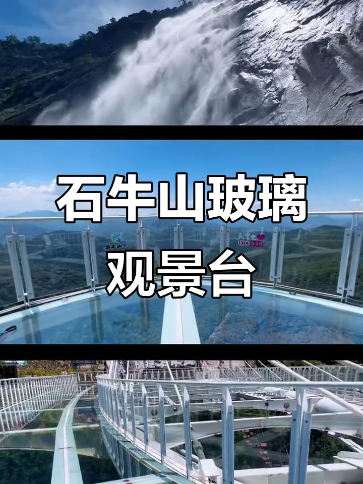 45bc4d339398d022c75a6c8ef915bbbd-sz_797185