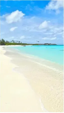 45c5f7aa4c338f624fc8c5ed7be9e6af-sz_191082