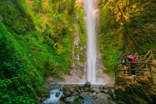 45d78fcf7c42a6047cd2115933f22a2a-sz_104852-2 45d78fcf7c42a6047cd2115933f22a2a-sz_104852-2