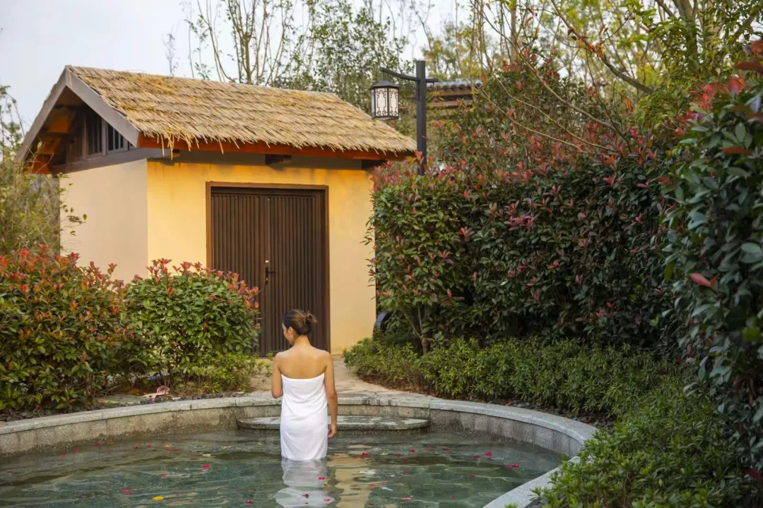 45dcac961cdbe57b85f744630091740a-sz_4162554