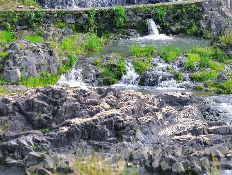 45e8a7cf90eea90c580391108611dcca-sz_246412 45e8a7cf90eea90c580391108611dcca-sz_246412