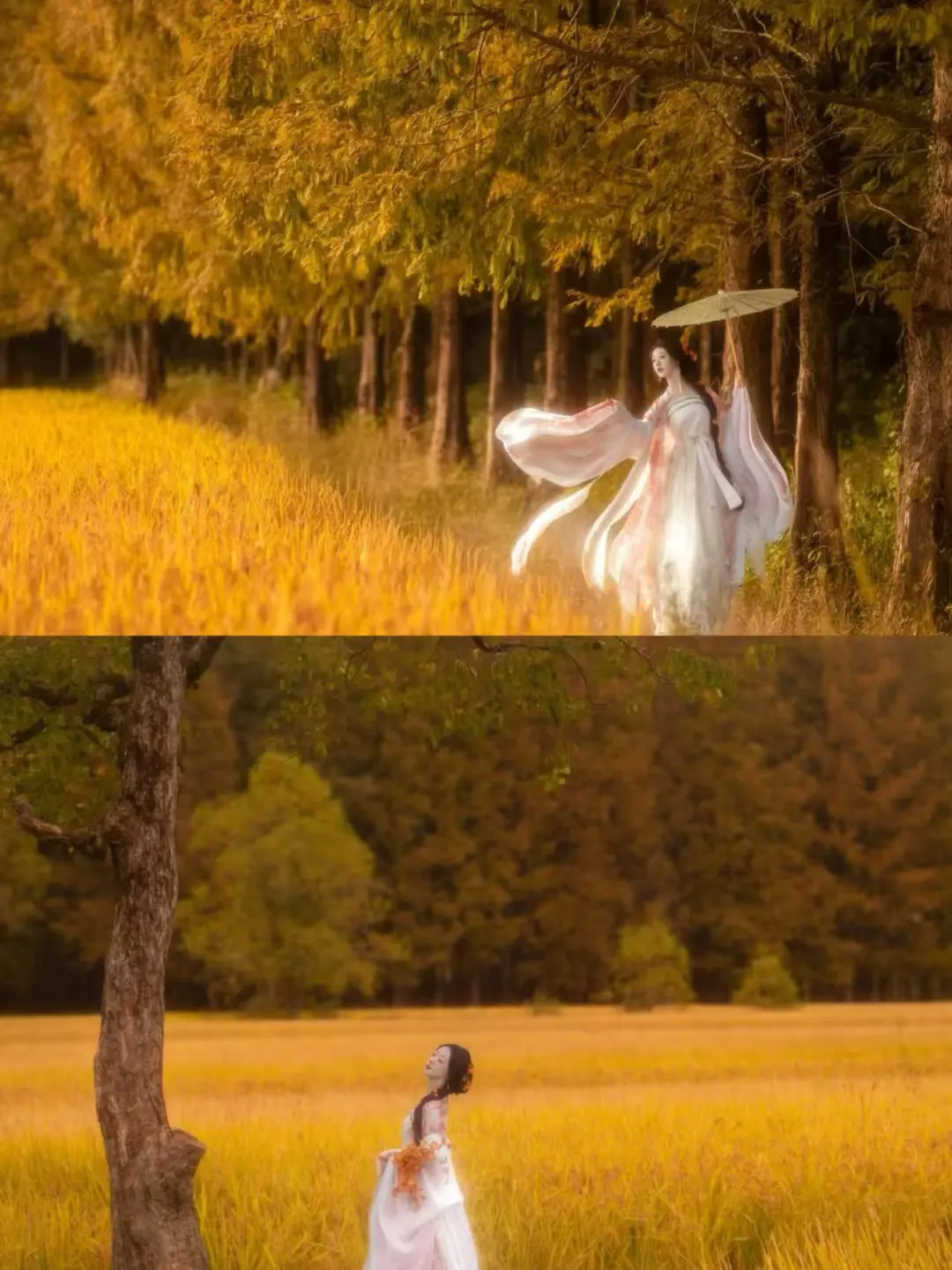 45fd901f77793b658e5371d7aa49a6c9-sz_237265