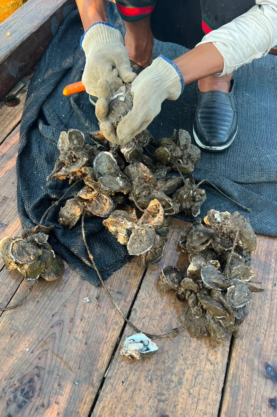 45ffaf415e9aaff18ffdf0a2abdb6f91-sz_601174