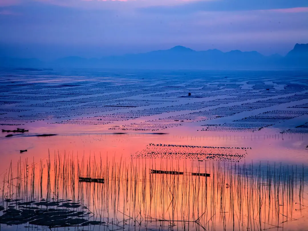 46068866c82f18a93afbb28edb0b60cd-sz_358366