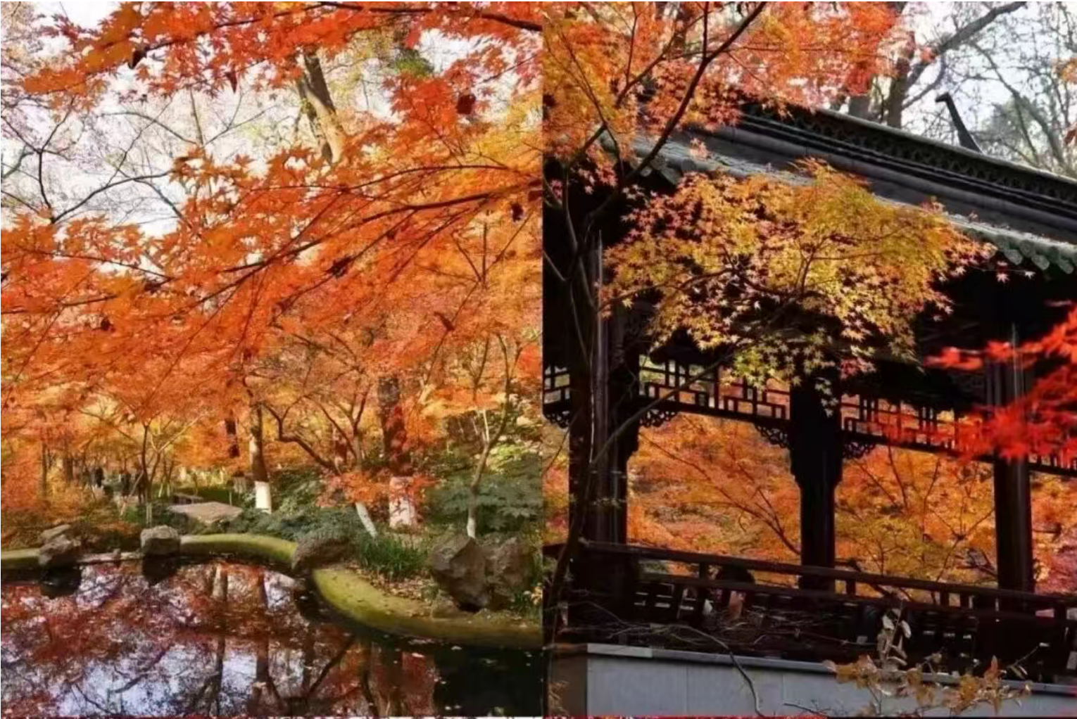 460d3df0228c9a65508933034e87b372 460d3df0228c9a65508933034e87b372