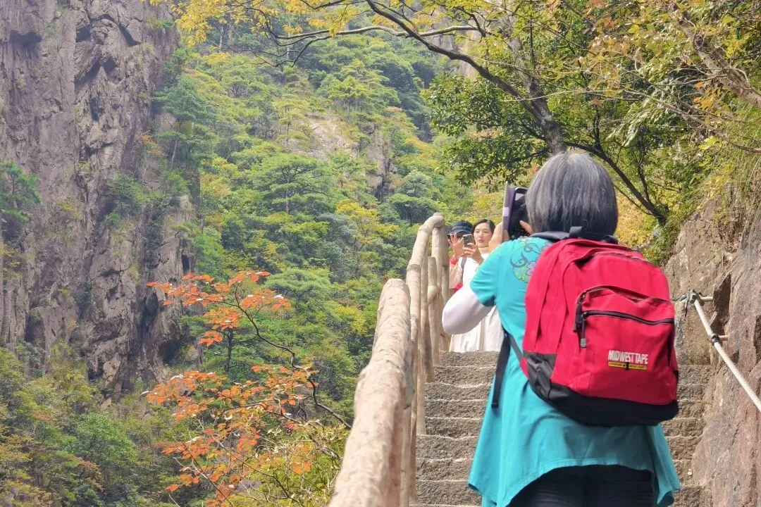 462a7f40a20f9cc4889d17343a52e01e-sz_242095