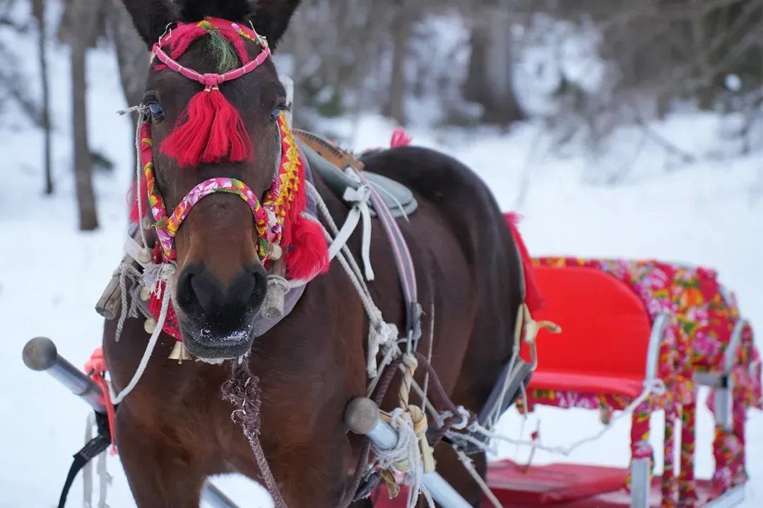 467e8b9e195b8763183cf6f260a19674-sz_1582852 467e8b9e195b8763183cf6f260a19674-sz_1582852