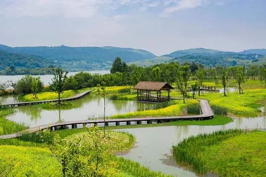 468dda014e3f8f54c7ba67453b70f670-sz_472717 468dda014e3f8f54c7ba67453b70f670-sz_472717