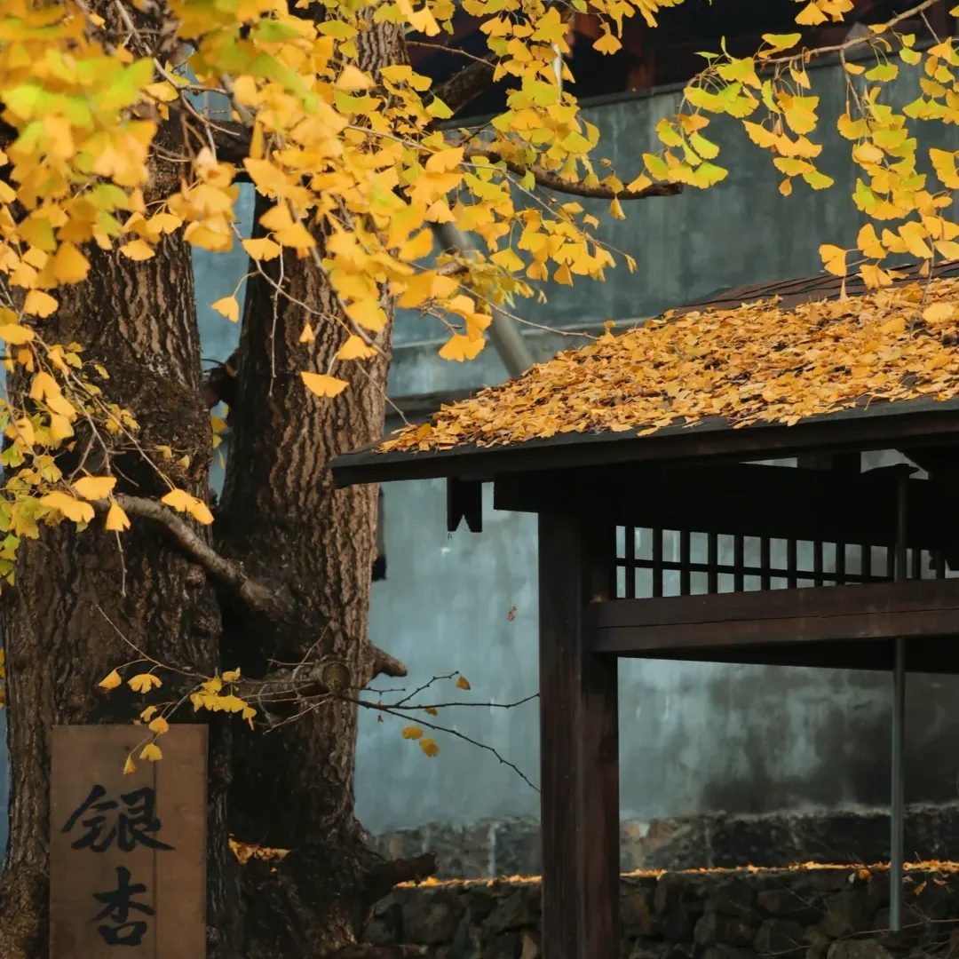 46a0480e22665ff32623f42630ec539d-sz_2541191 46a0480e22665ff32623f42630ec539d-sz_2541191