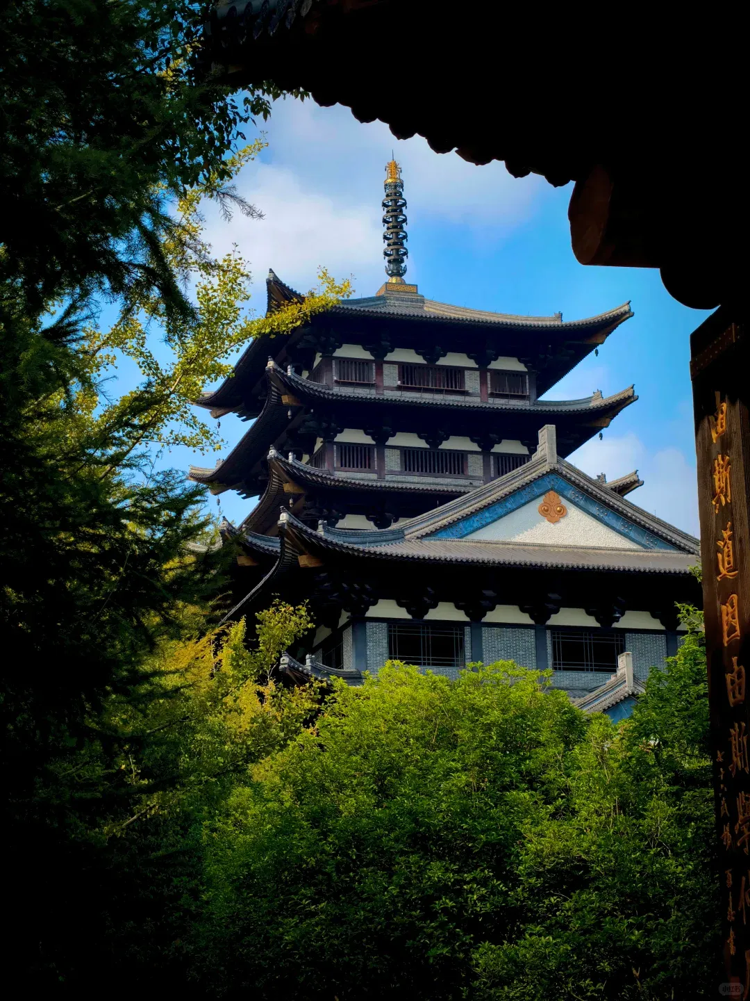 46a213ff09f9e025c7c1e83d8630cbf1-sz_2445845