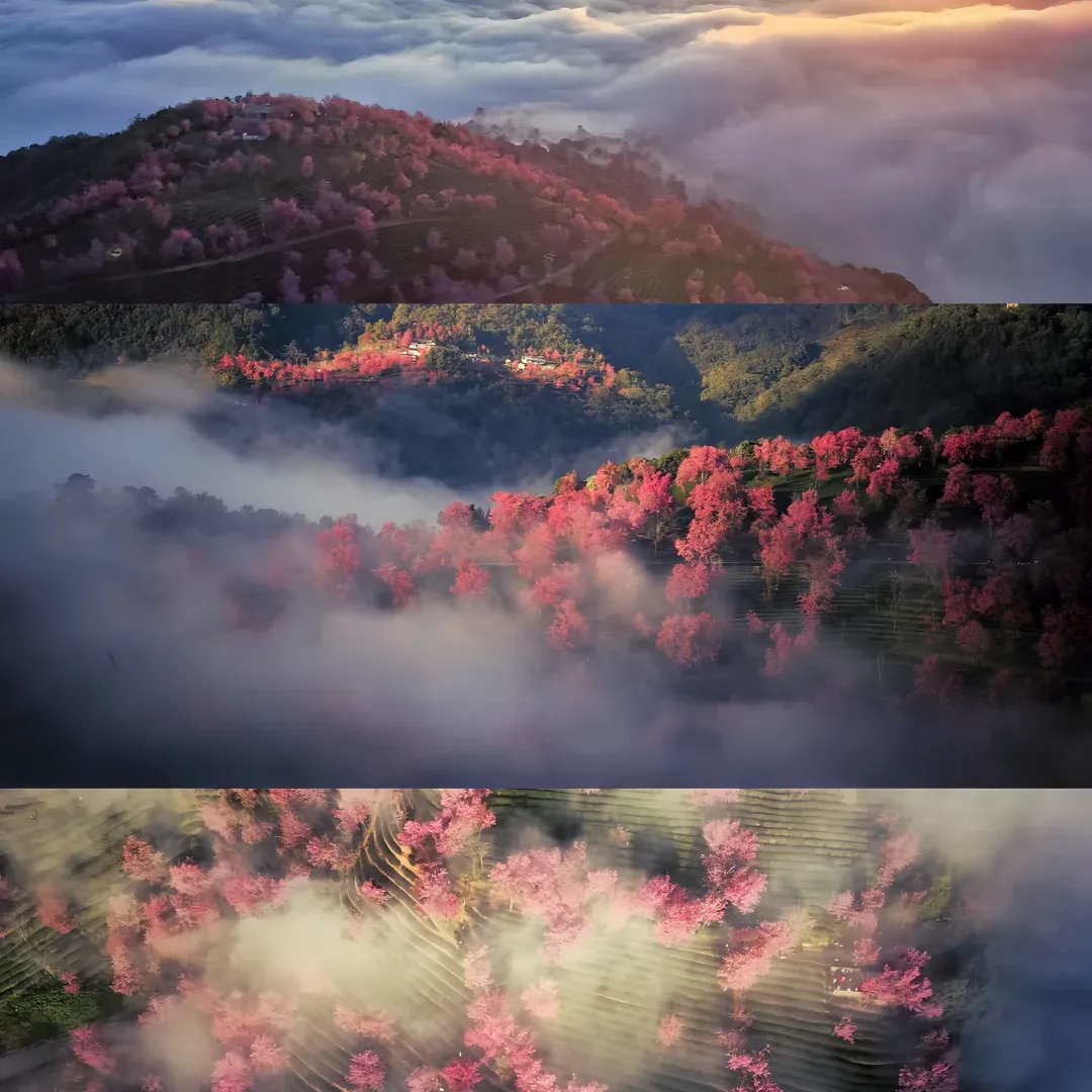 46ee6461d7222dd2782af03982010c1f-sz_1843614 46ee6461d7222dd2782af03982010c1f-sz_1843614