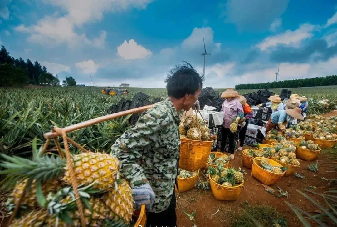 46f259041366e44f52547f8f33d71171-sz_149533 46f259041366e44f52547f8f33d71171-sz_149533