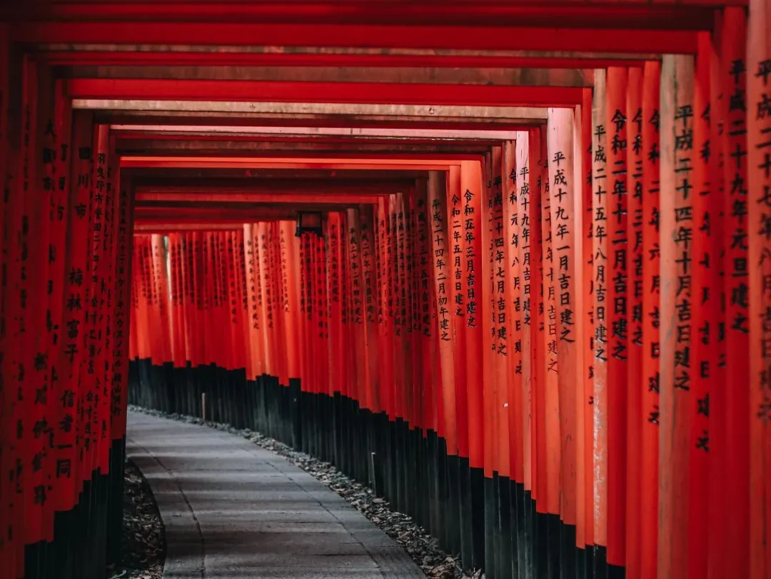 472268890ed9d42d36f632d1a160ccbe-sz_318003 472268890ed9d42d36f632d1a160ccbe-sz_318003