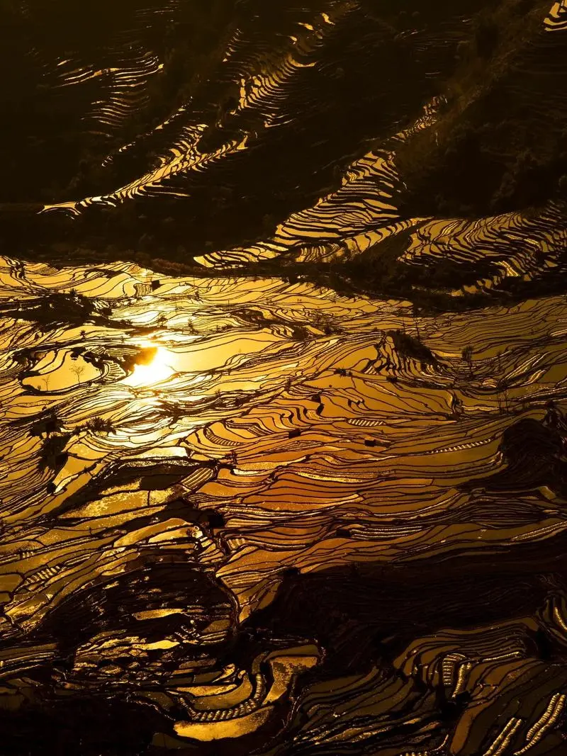 473db7e11cd59730fbe37bd5bb6c61bc-sz_192900 473db7e11cd59730fbe37bd5bb6c61bc-sz_192900