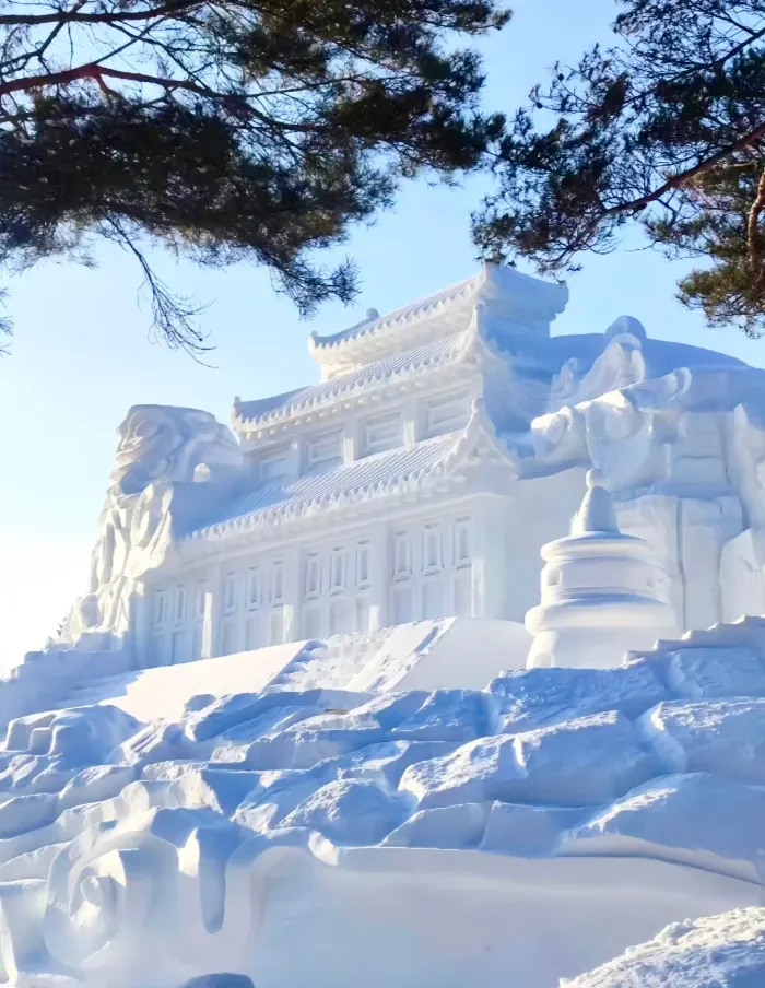 475971d1bdc74def5fb65ce270f09fb2-sz_1001433