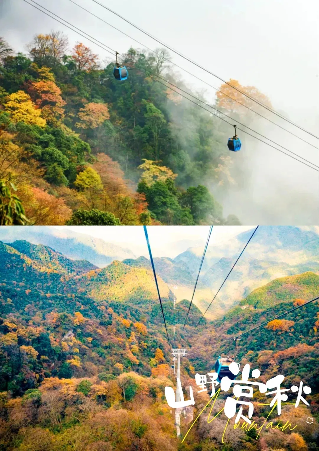 重庆纯玩1999【山城瑰丽】双飞5日游＜精选网评3钻酒店•享受2大特色餐，独家大足双山行程，赠送乌江画廊航拍＞