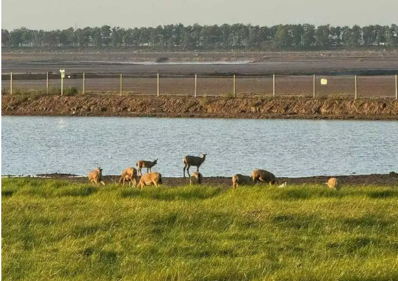 478e6ca0da554c897dbc75c119453495 478e6ca0da554c897dbc75c119453495