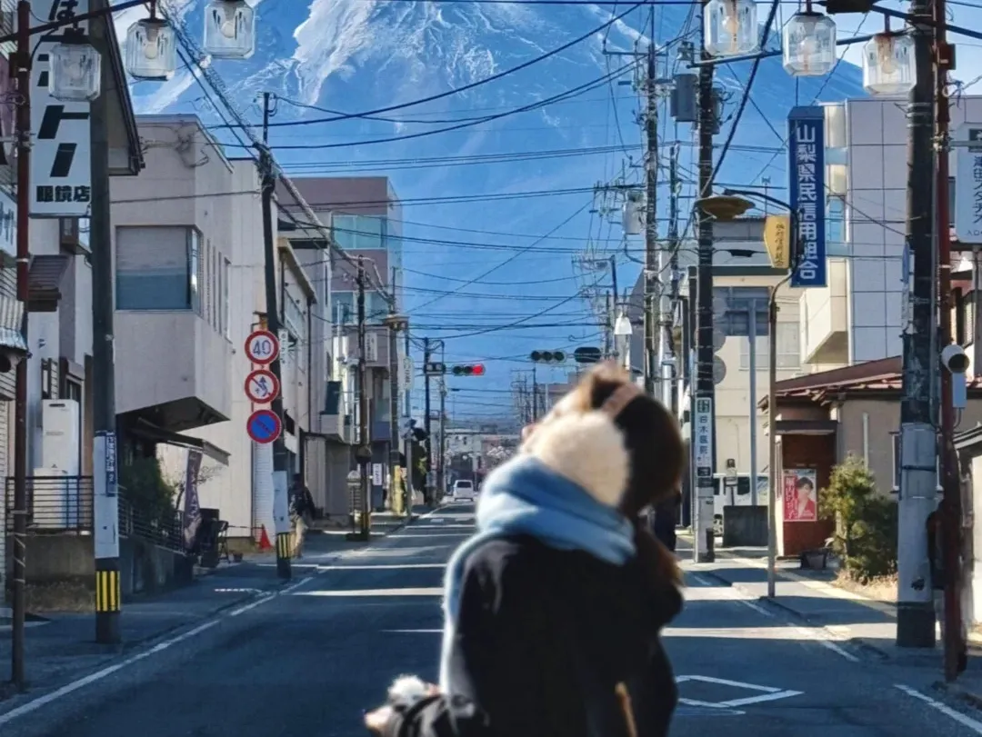 479c0041925cab9460ee45b65db05939-sz_369802 479c0041925cab9460ee45b65db05939-sz_369802