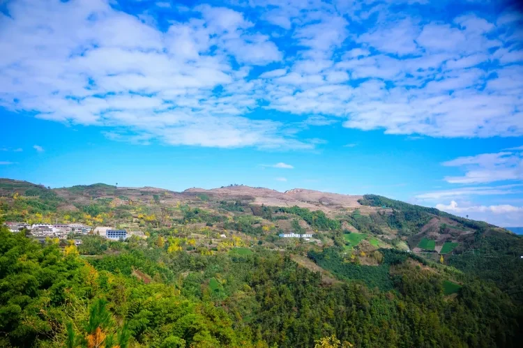 48072ff74bfd498a04acca15e7a19d5f-sz_1514716 48072ff74bfd498a04acca15e7a19d5f-sz_1514716