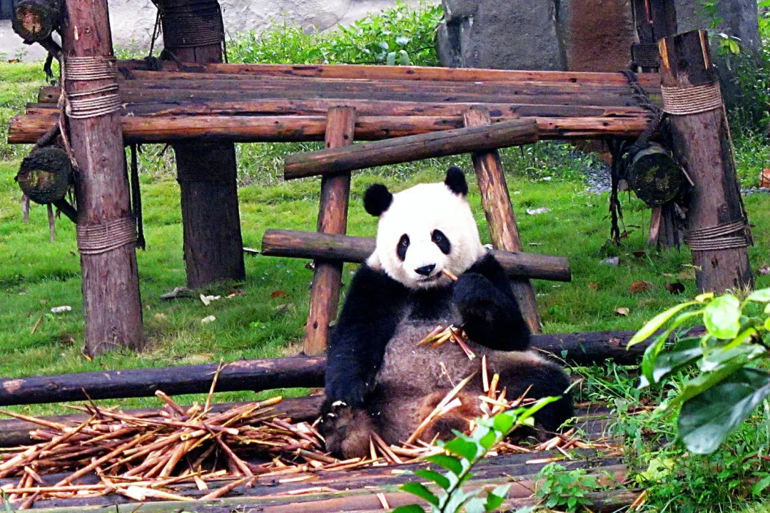 4877b4083f82ac5d6d5f9a23a7d2aacb-sz_668753